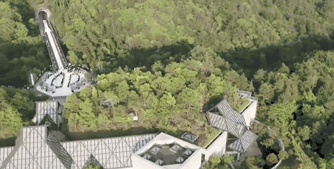 1558943915936156.gif 1.gif