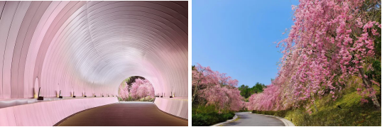 1558944191189339.png 图片.png