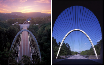 1558944260880085.png 图片222.png